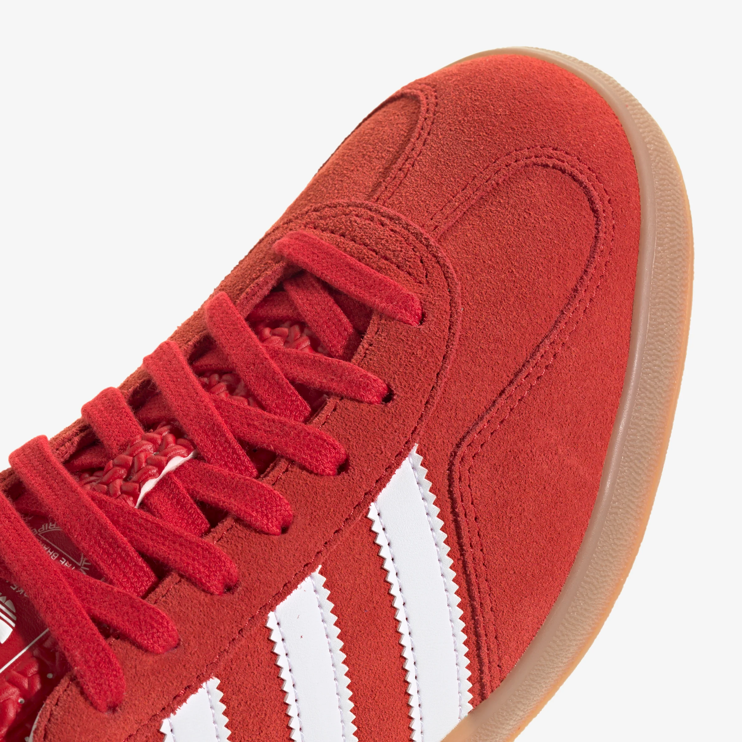 Gazelle Indoor - Image 8