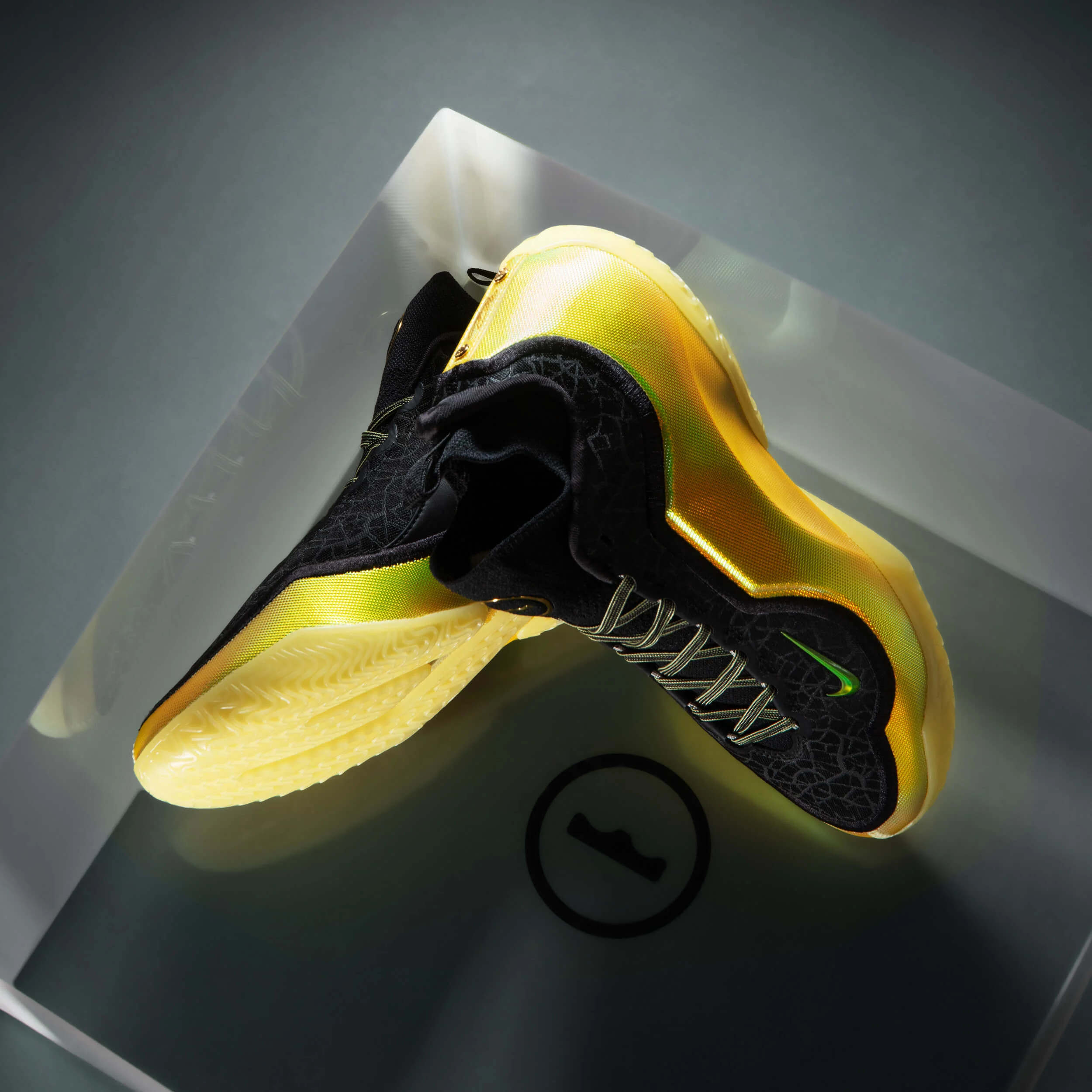 Lebron XXIII Elite "Hurt Feelings" - Image 10