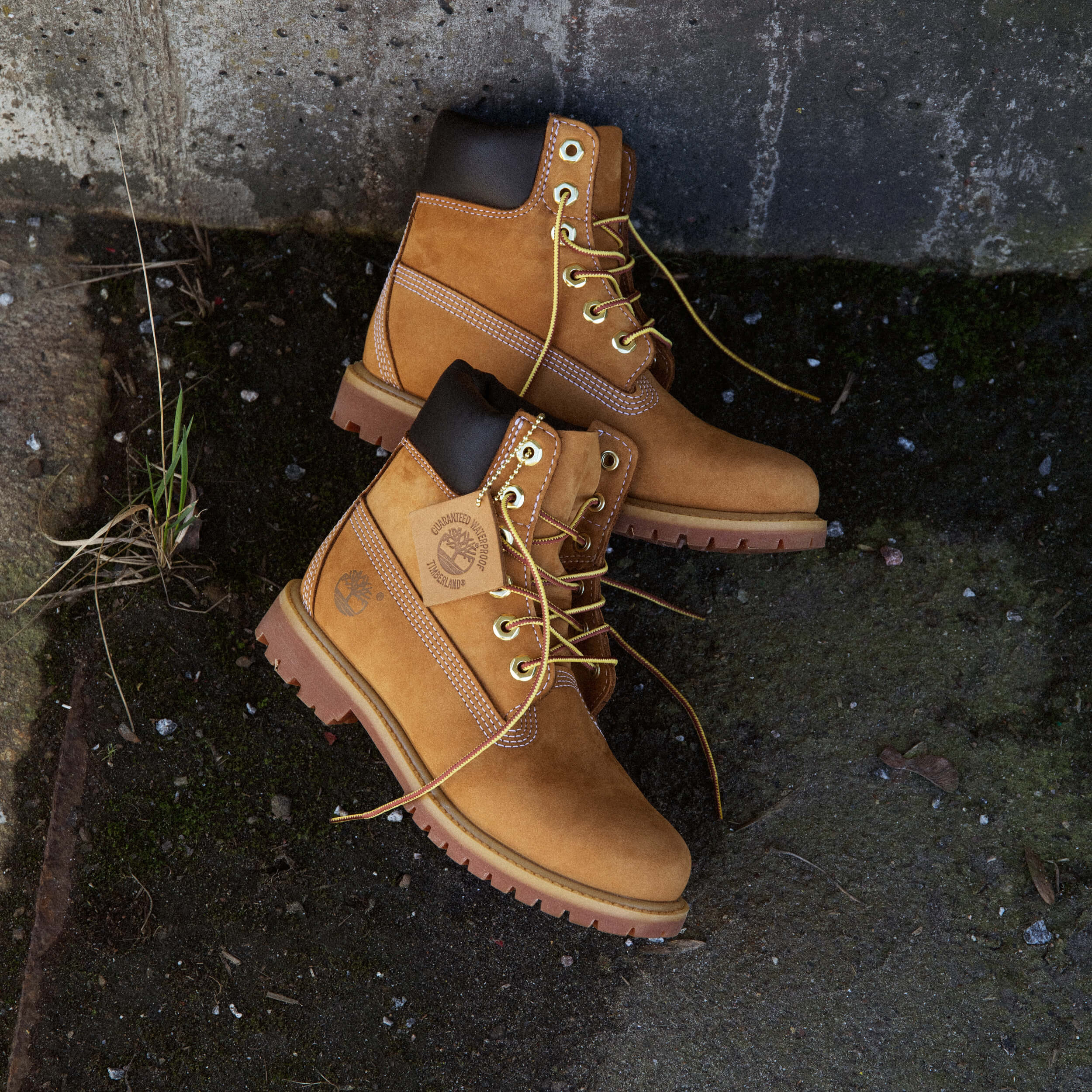 6" Premium Boot - Image 6
